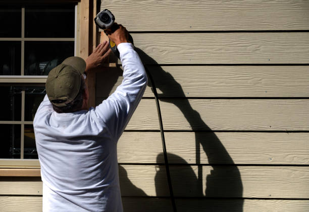 Best Storm Damage Siding Repair  in Perry, MI