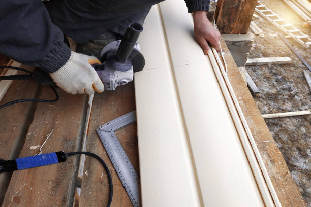 Best Vinyl Siding Installation  in Perry, MI